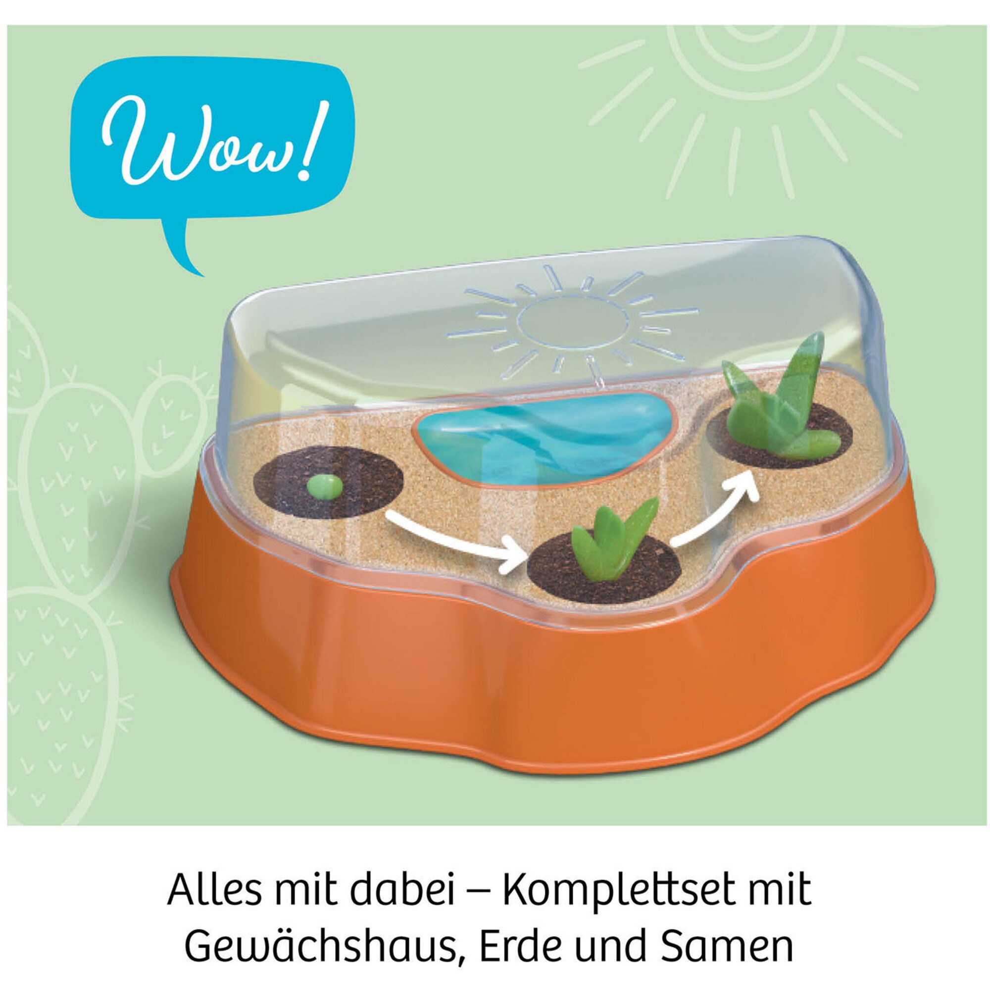 Kosmos Experimentierkasten Kakteen-Wüste