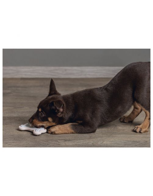 Beeztees Dental Bot Puppy 10x5.5 cm - Hondenspeelgoed