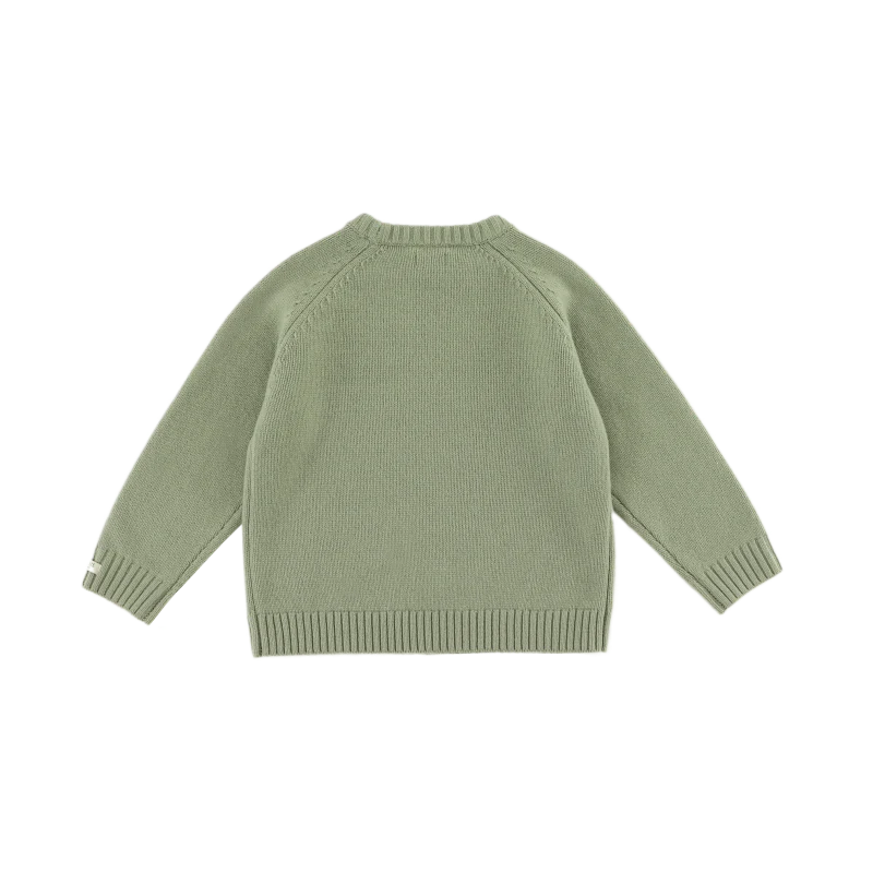 Fionn Merino Wool Sweater | Desert Green