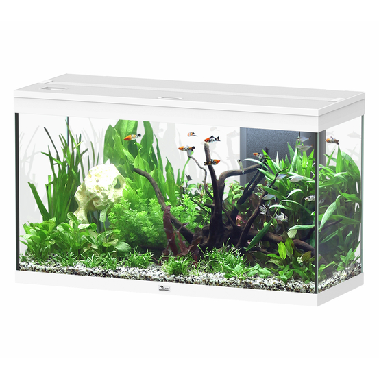 Aquarium équipé Splendid Led 2.0 Blanc L.100xP.40xH.61cm