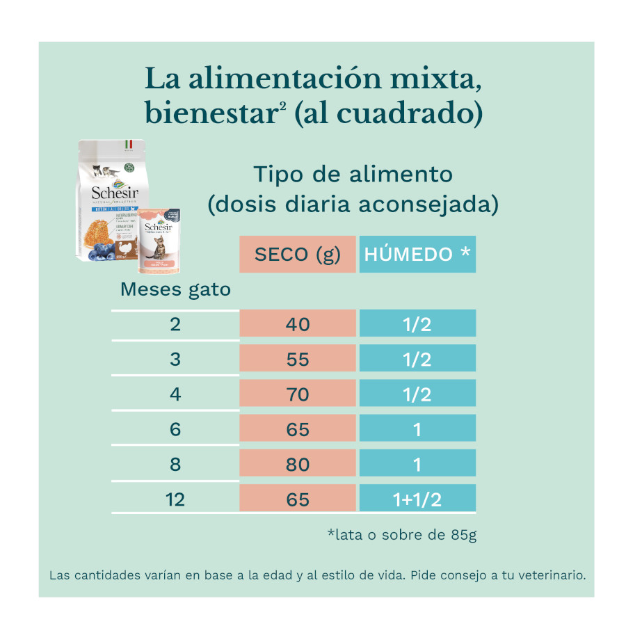 Sachê de 85g de ração para gatinhos Schesir sabor frango.