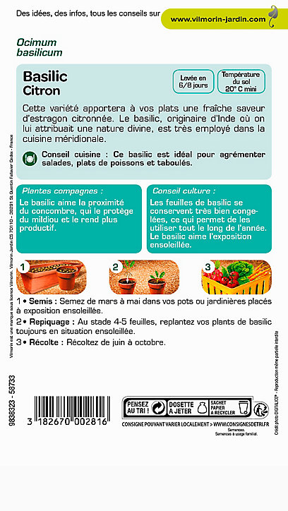 Graines de Basilic Citron