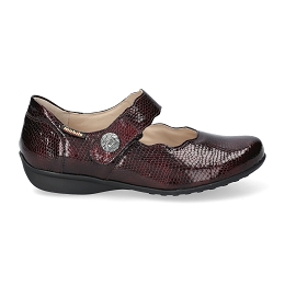 flora  MISS 35874  CHIANTI