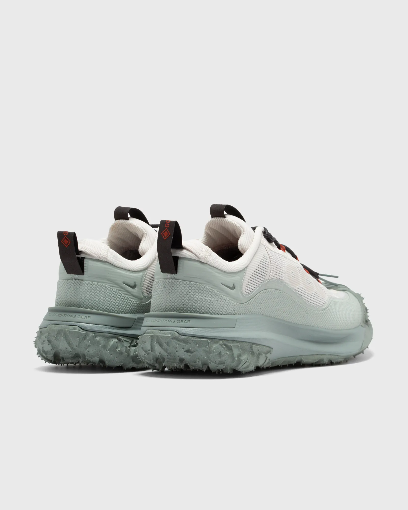 Nike ACG MOUNTAIN FLY 2 LOW GTX
