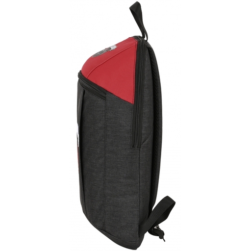 Mochila Paseo Harry Potter 39x22x10