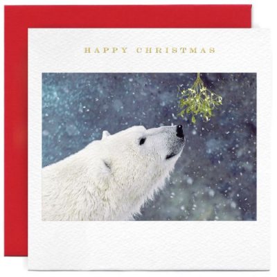 Bear and Mistletoe