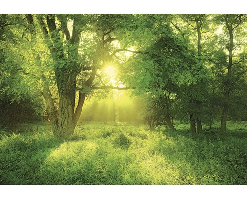 Canvasprint Sluimerlicht 116x80 cm