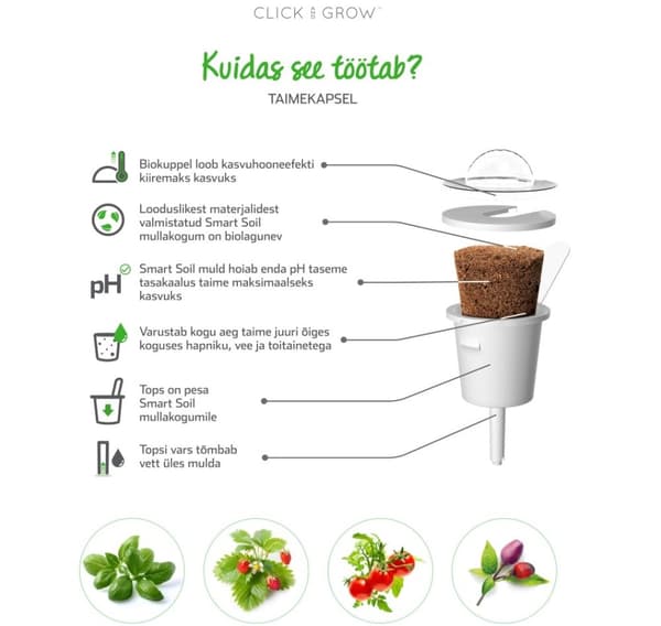 Click & Grow Smart Garden refill Mini Tomato 3stk