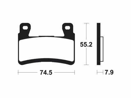 Plaquettes de freins Tecnium Racing métal fritté carbone - MCR394