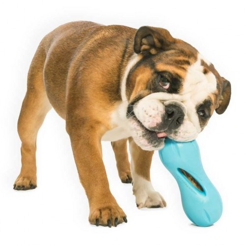 Brinquedo dispensador de petiscos azul para cães