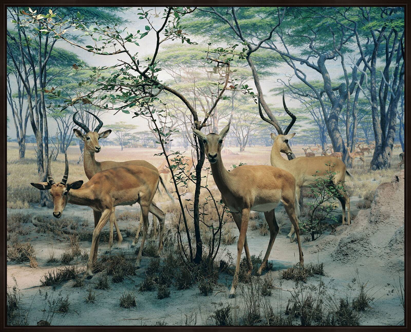 Diorama #8 by Henning Bock - Limited Edition. Edition of: 100. Signed.