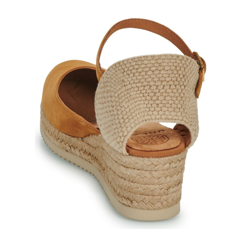 Unisa - CACERAS - Camel