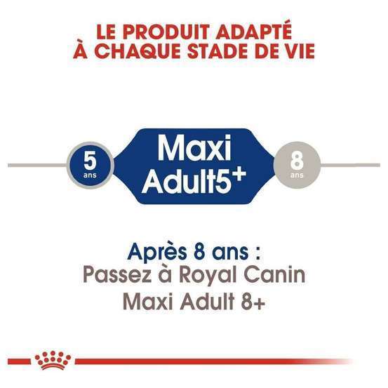Croquettes chien grande taille de + 5 ans Maxi Adult 5+ 15kg