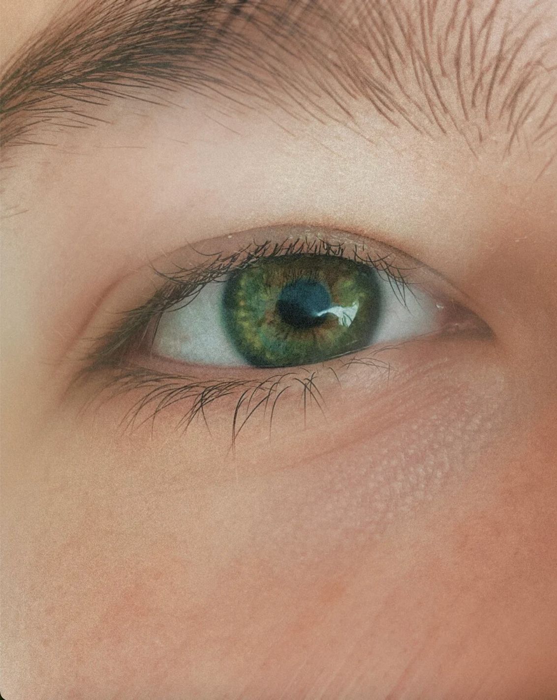 hanusch.cosmetics Calming Eye Cream