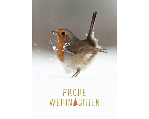 Kerstkaart Vrolijk Kerstfeest Vogel 10,5x14,8 cm