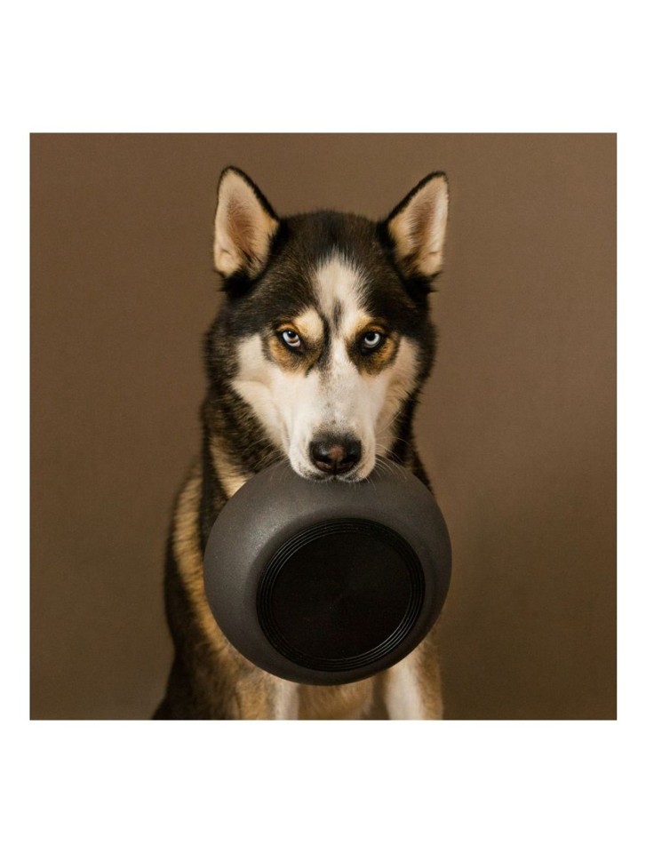 District70 -Bamboo Hundeskål Dog Bowl Large Dark Grey