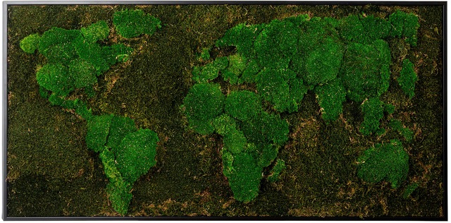 Bönninghoff Bild mit Rahmen »Moos« 1 Stk. tlg. jedes Bild ein Unikat, BxH: 120x60 cm