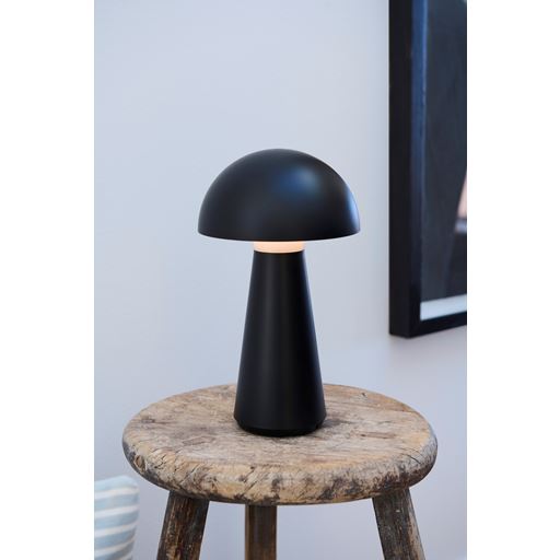 Sirius Sam Bordlampe, Sort