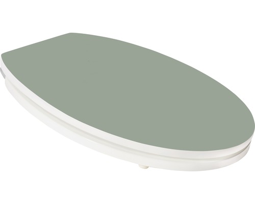 form&style toiletzitting Color Edge Olijf mat met soft-close mechanisme