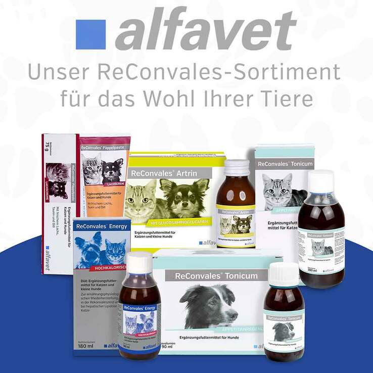 Reconvales Energy Diät-Erg.Futterm.für kl.Hund / Katze, 180 ml