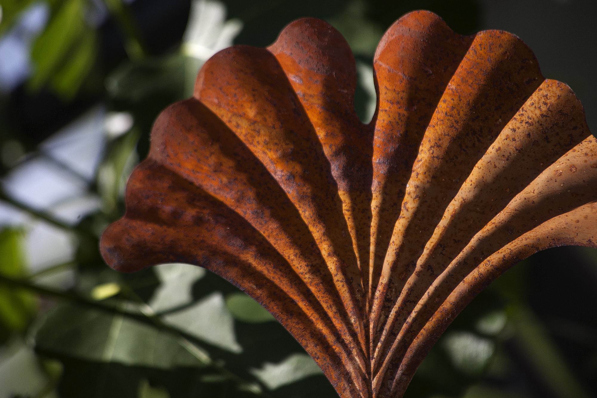 Gartenstecker 'Gingko', braun, T 0,5 cm, B 23,5 cm, H 84 cm günstig bestellen