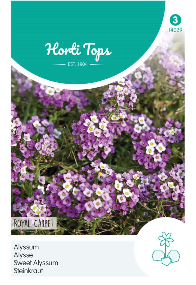 Hortitops Alyssum Royal Carpet - Bloemzaden