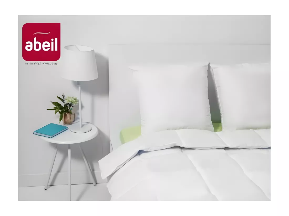 ABEIL Lot de 2 Oreillers Bio Confort - 60 x 60 cm - Blanc