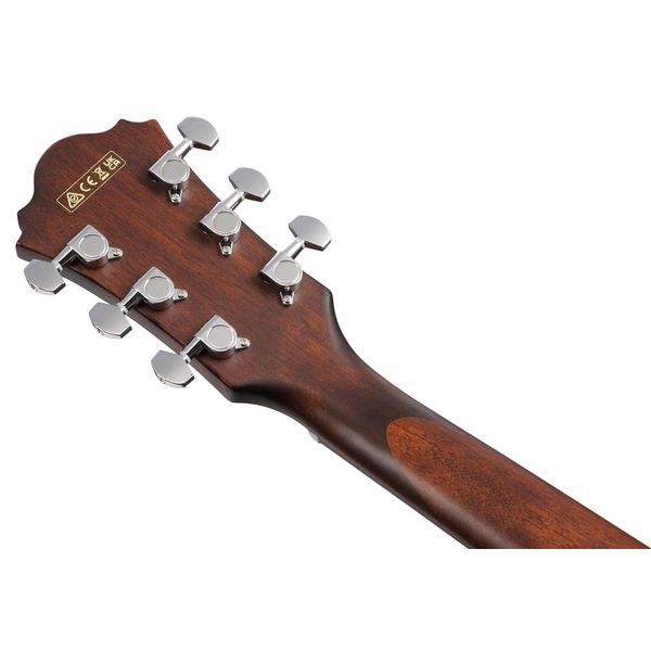Ibanez AE100-DBF