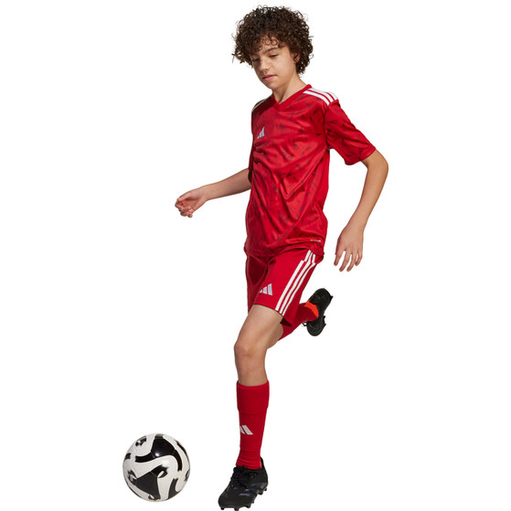 adidas Team Icon 25 Trainingsset Kids