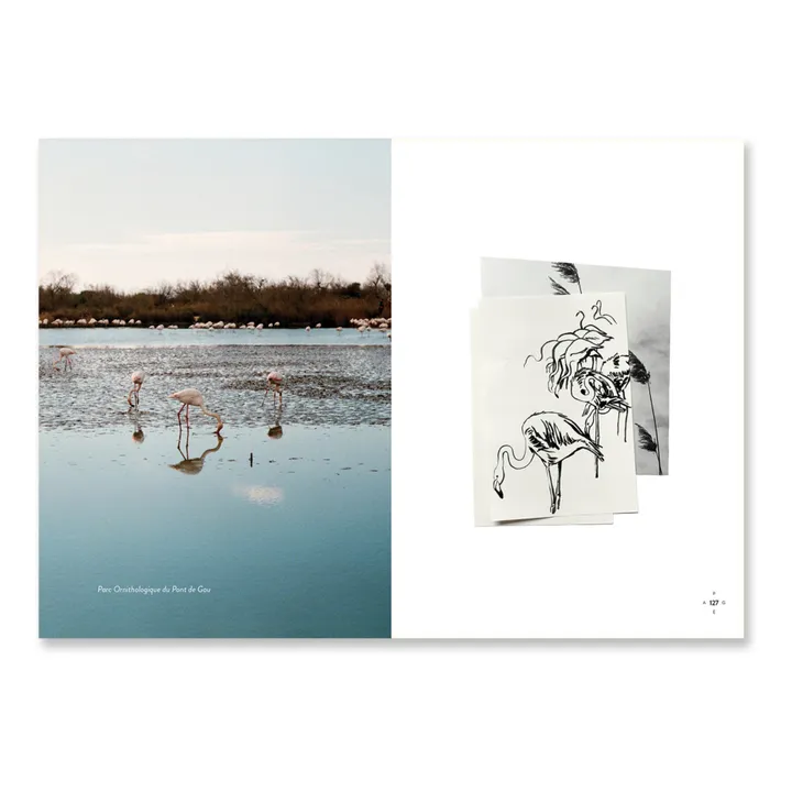 A Week Abroad Livre de voyage - Arles & Camargue | Orange