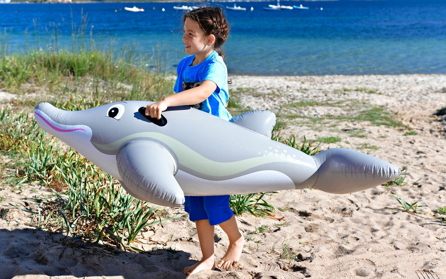 Delfin Reittier