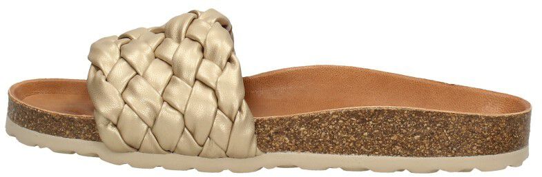 Verbenas Rica goudkleur