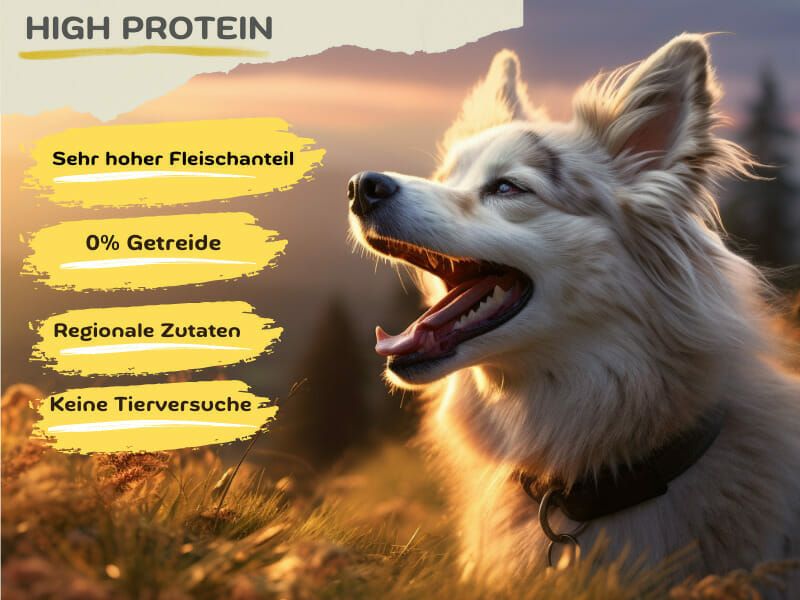 MyPetClub getreidefreies High Protein Hundefutter