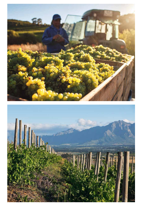 150 Vineyards You Need to Visit Before You Die