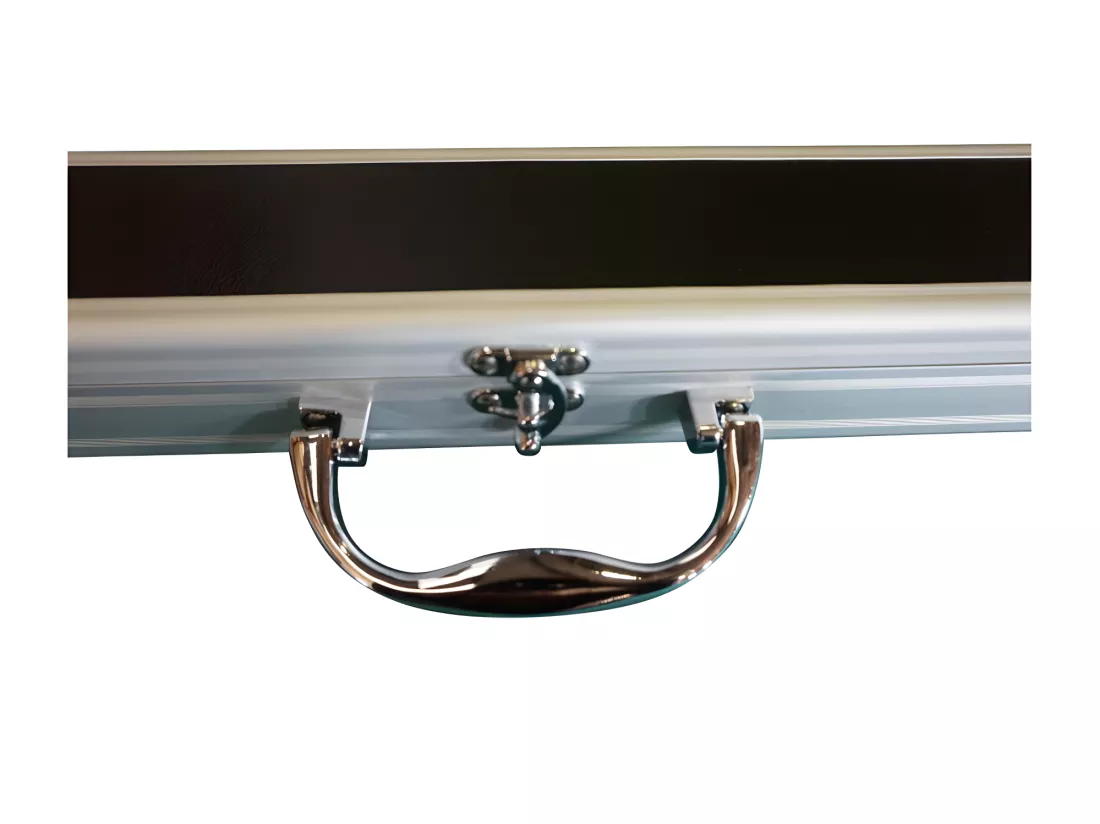 Boitier rigide Noir et Argent pour Queue de Billard