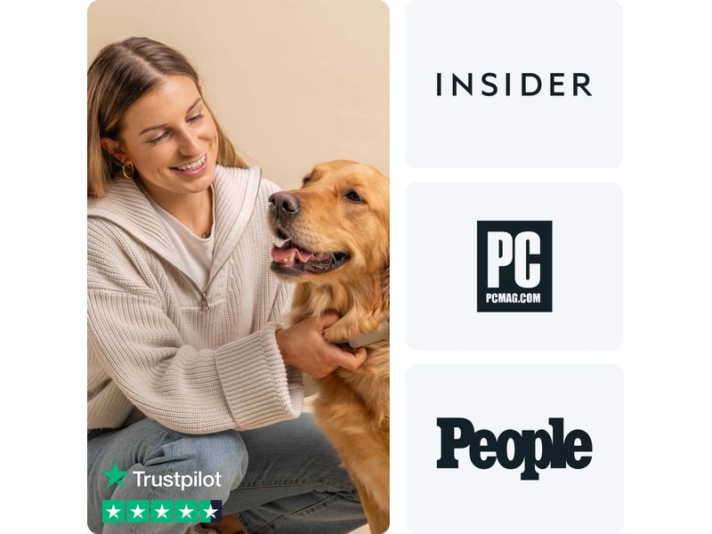 tractive GPS-Tracker DOG 6 Braun GPS Tracker für Hunde