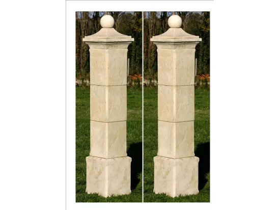 Lot de 2 piliers de portail 