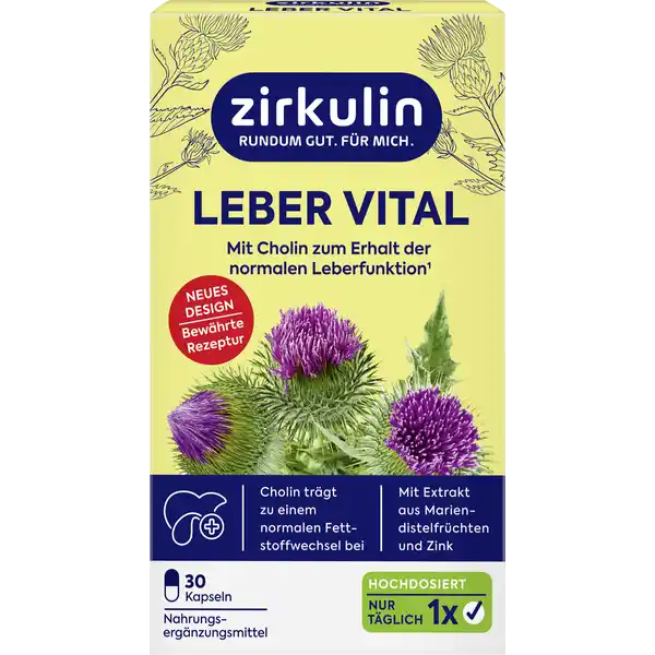 Leber Vital hochdosiert