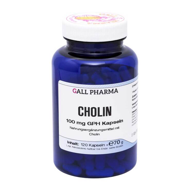 Cholin 100 mg GPH Kapseln, 120 St