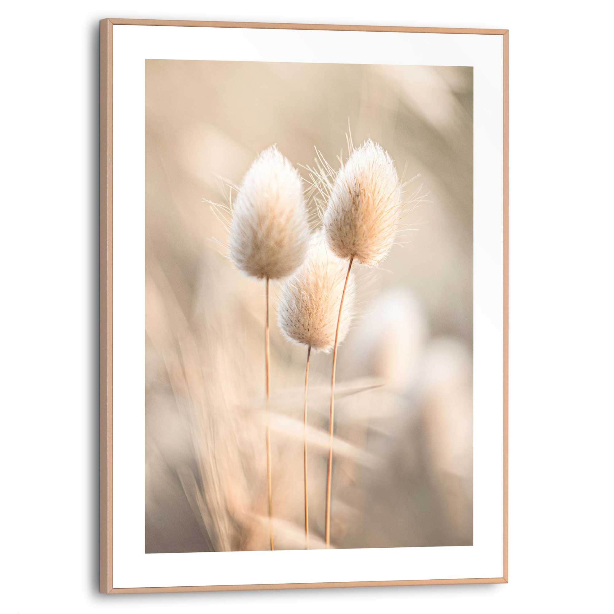Reinders! Poster »Plumes« Wohnzimmer - Grasfedern - Beige - MDF - Blumen und Pflanzen - 30x40 cm