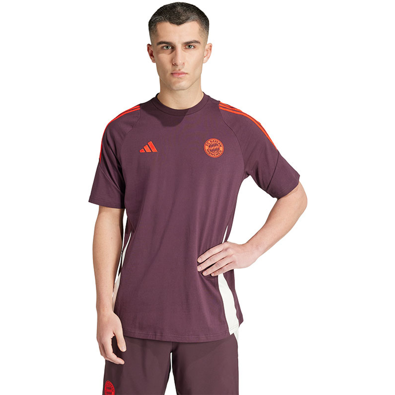 adidas Bayern München Tee 2024/2025