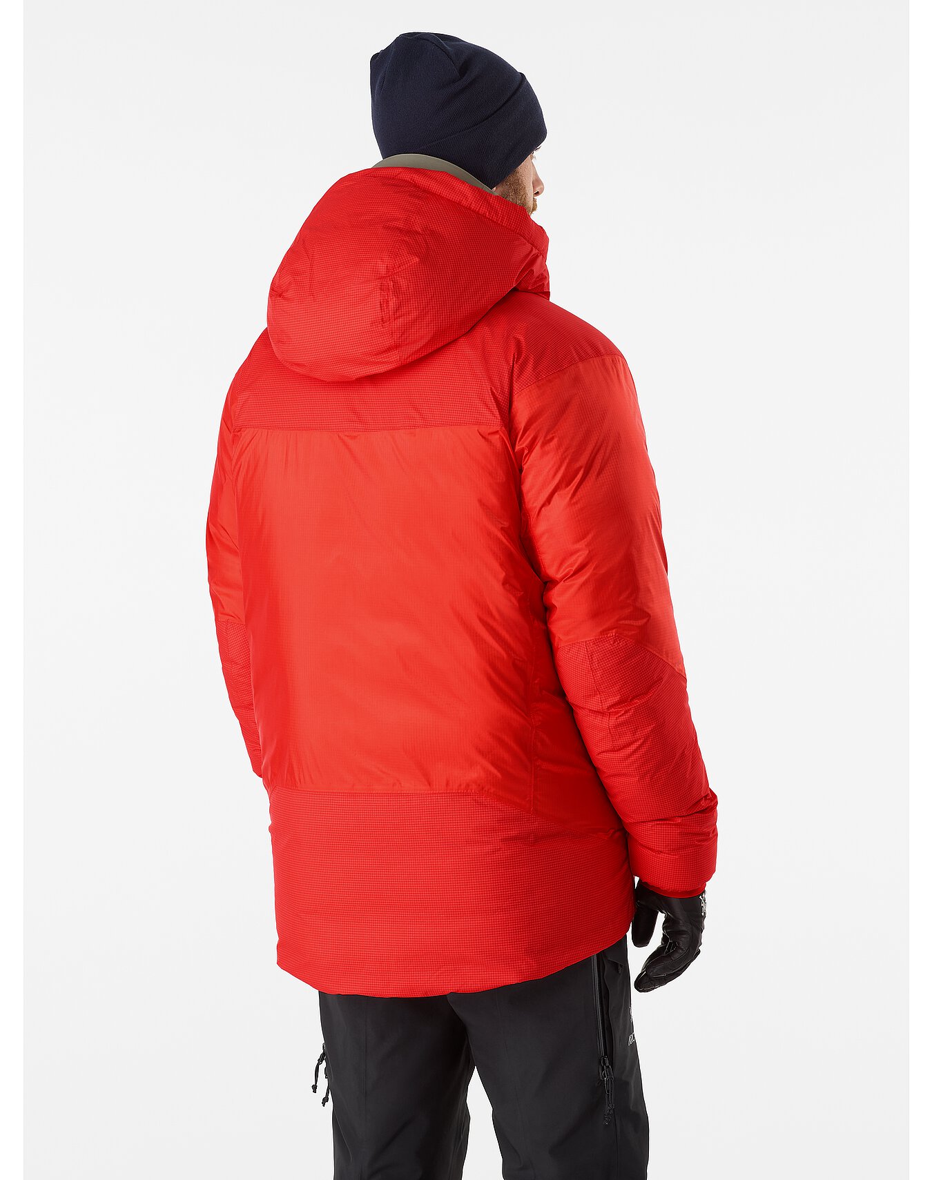 Arcteryx Alpha Parka Dynasty