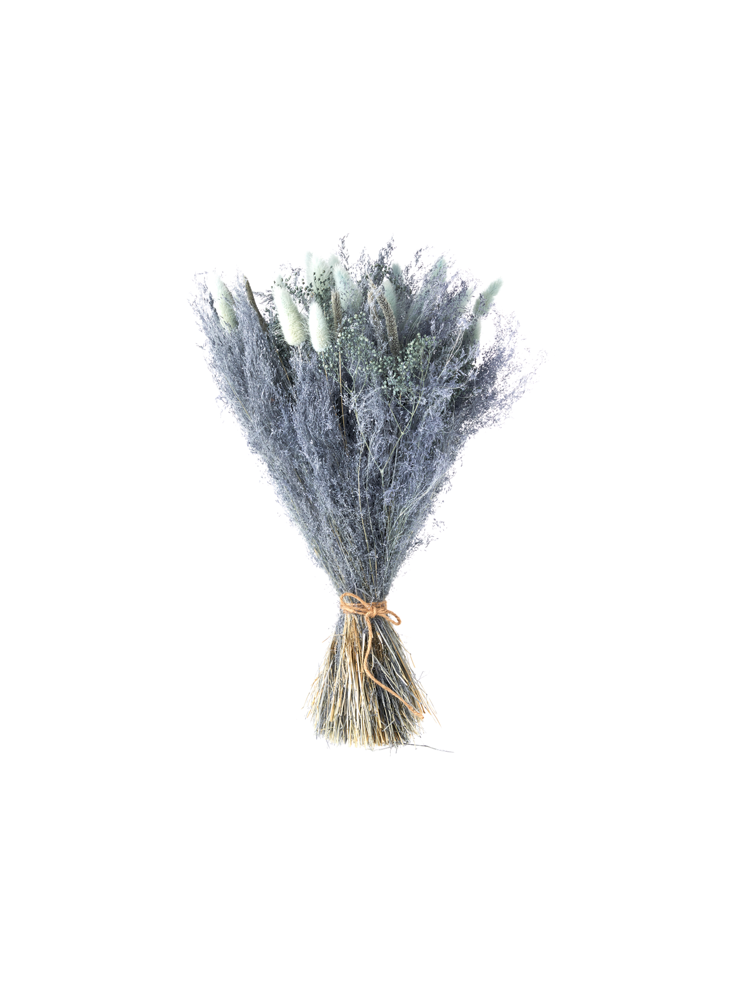 Tørrede blomster Silver Grey lille | Silver Grey | Mots More