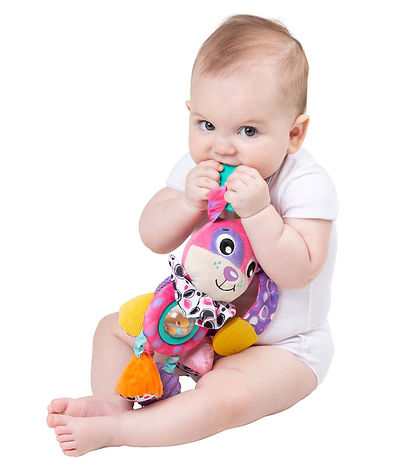 Playgro Kinderwagenanhänger - Dixie Aktivitätshund