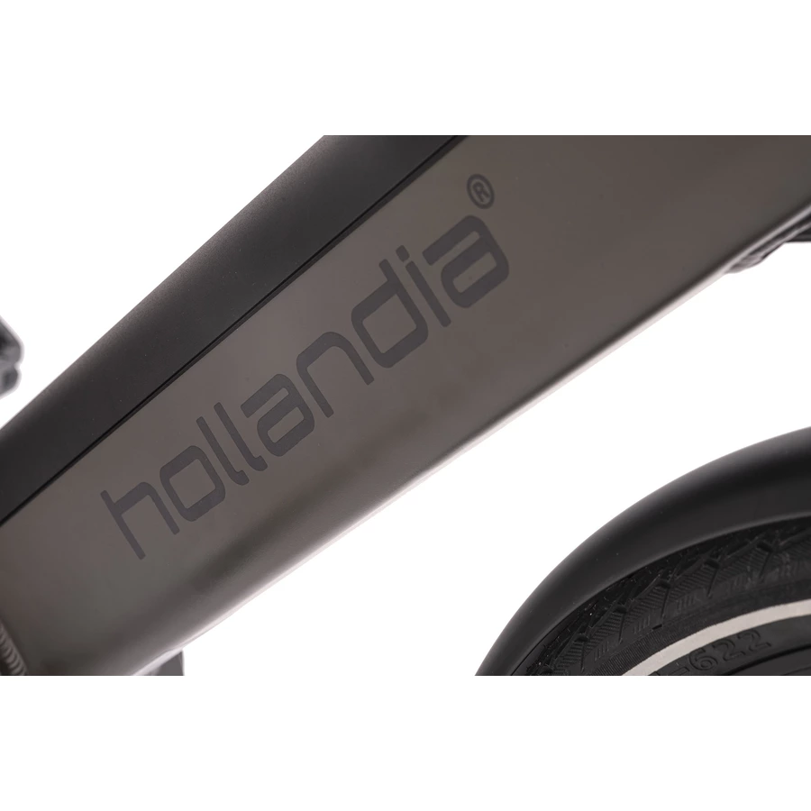 Adore Alu E-Citybike Herren Hollandia Mantova 28'' grau 7 Gänge grau