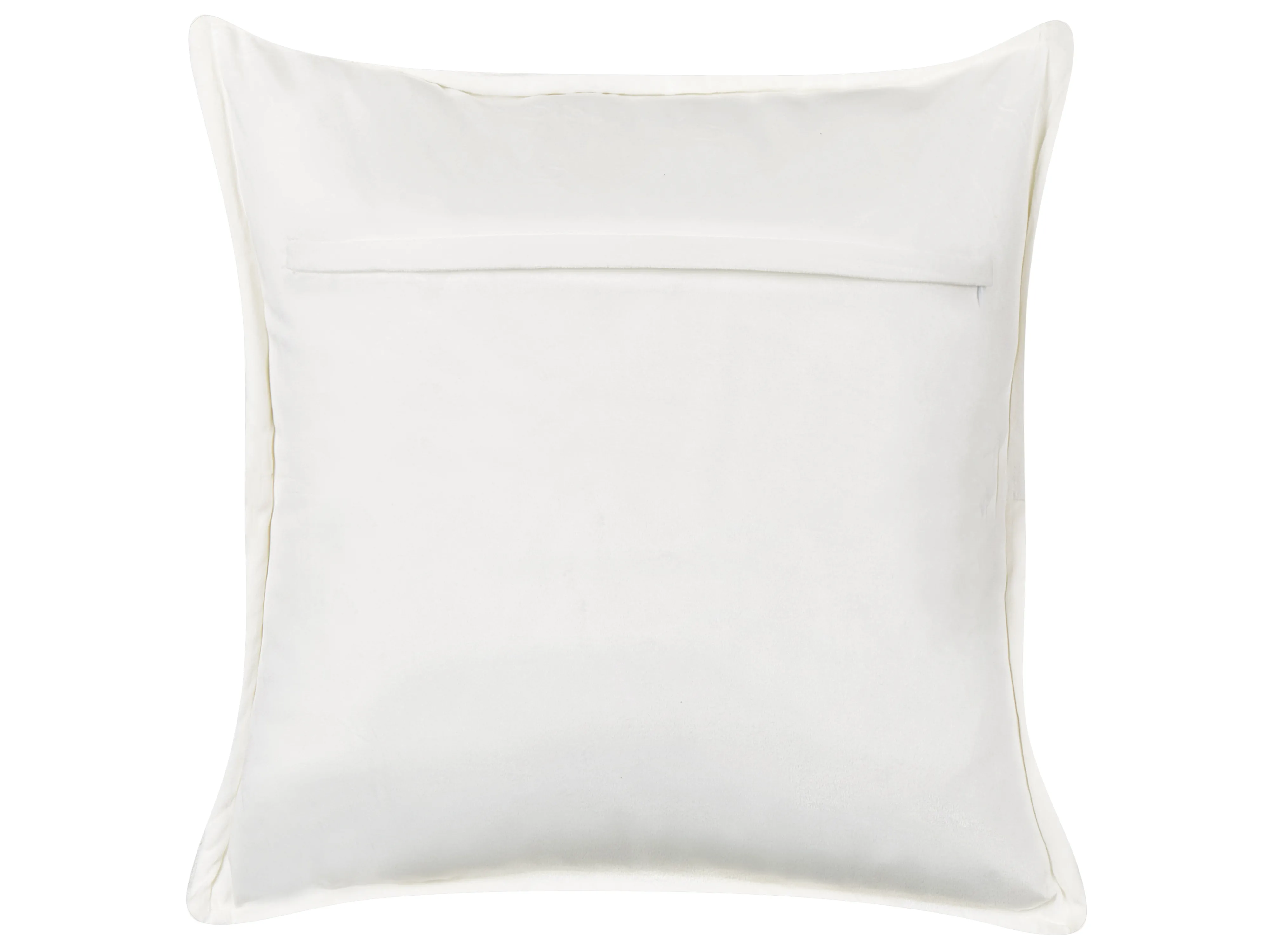 Set van 2 sierkussens NOTELEA Katoen 45 x 45 cm Beige bloempatroon