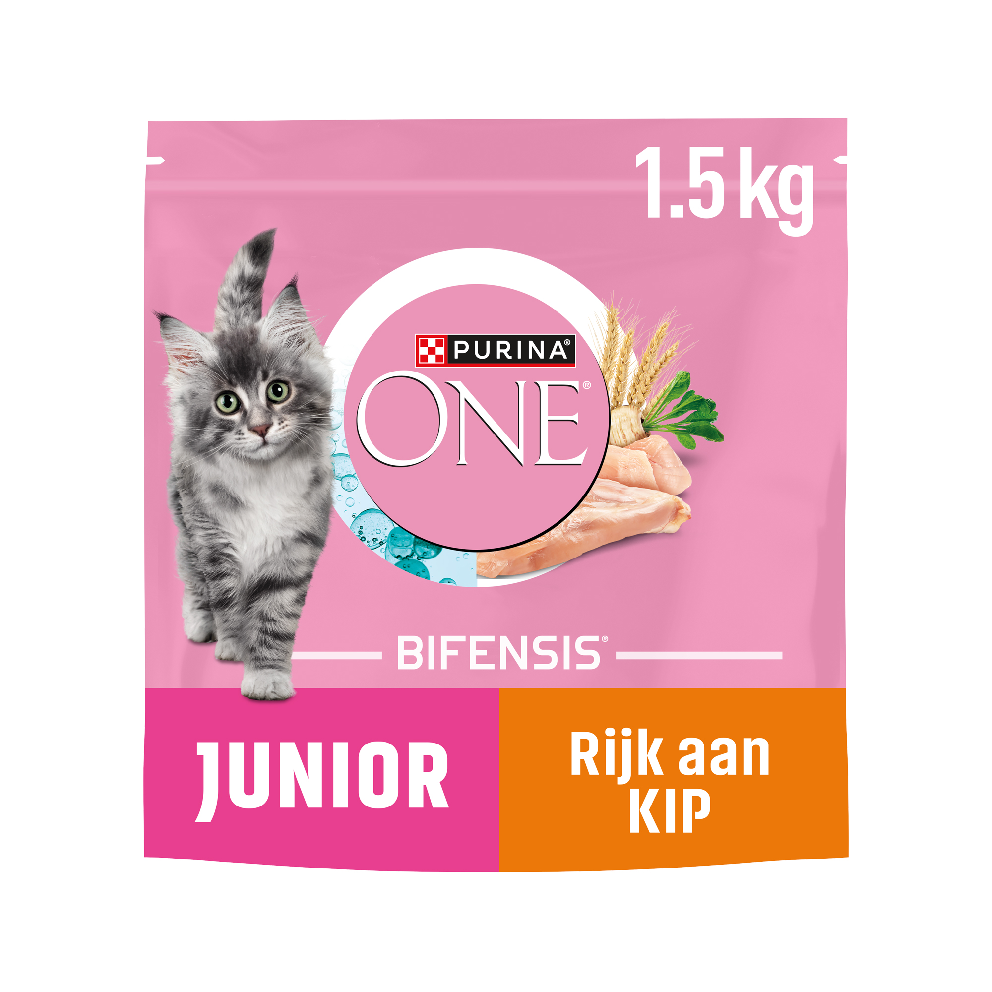 Purina ONE Junior