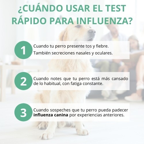 Teste rápido Lab4pets para gripe canina