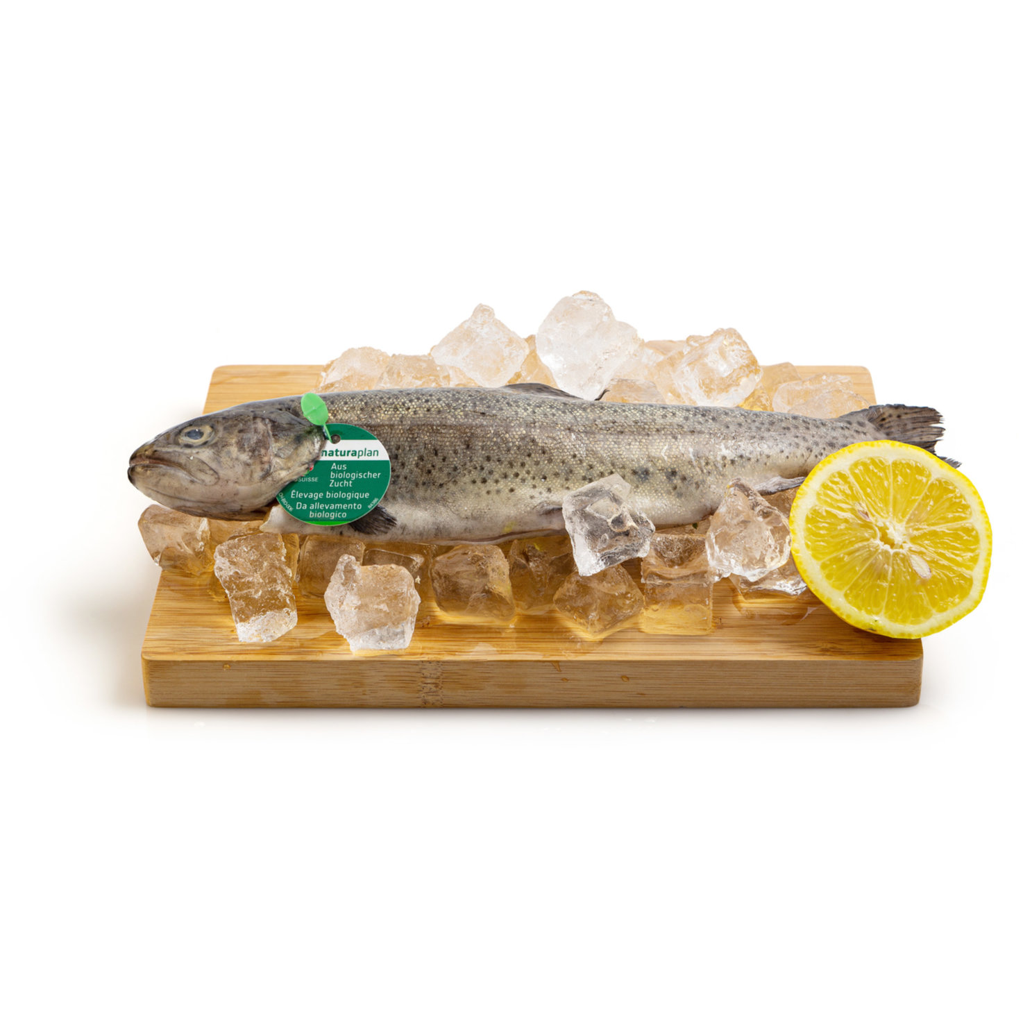 Naturaplan Bio Forelle ganz