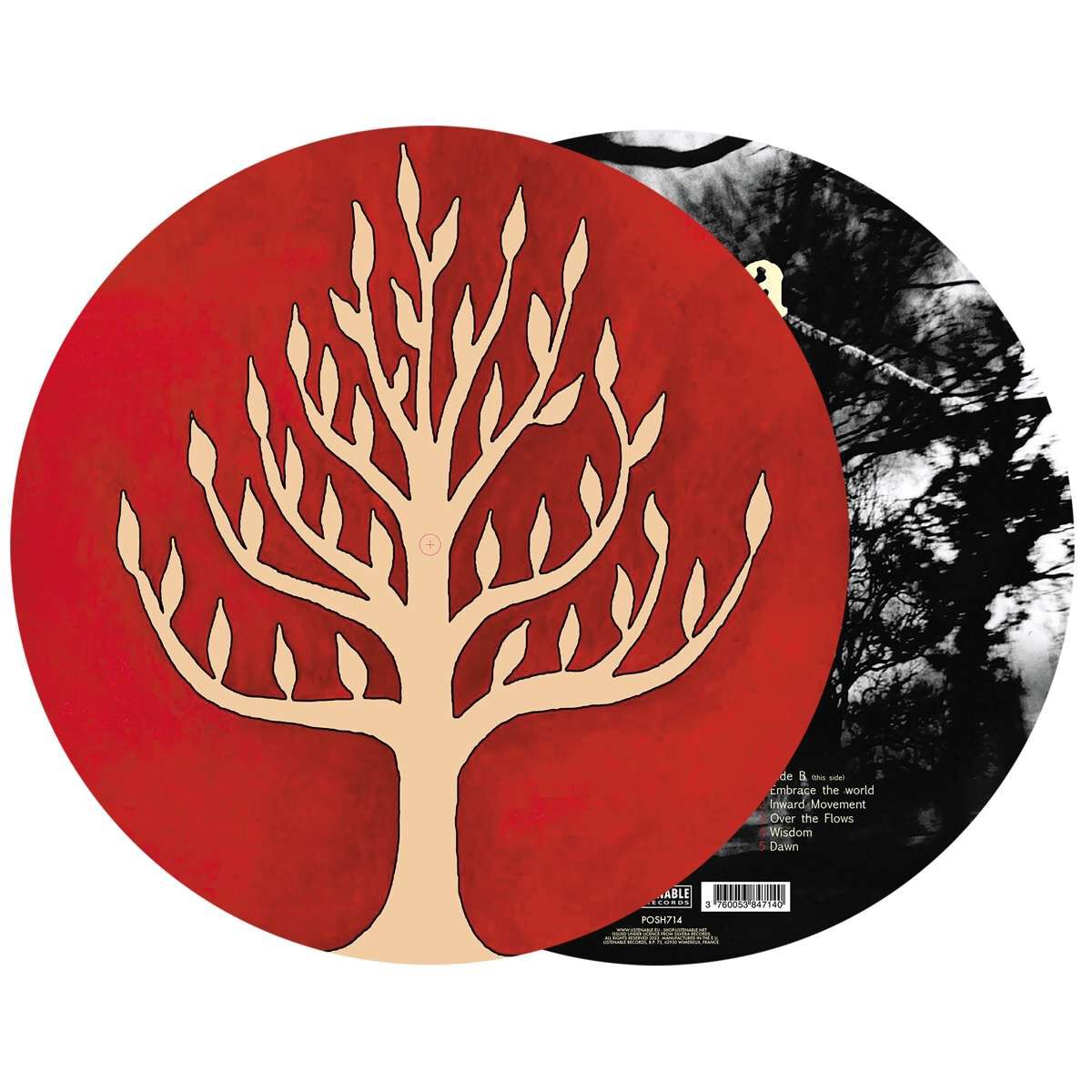 The link | Gojira LP